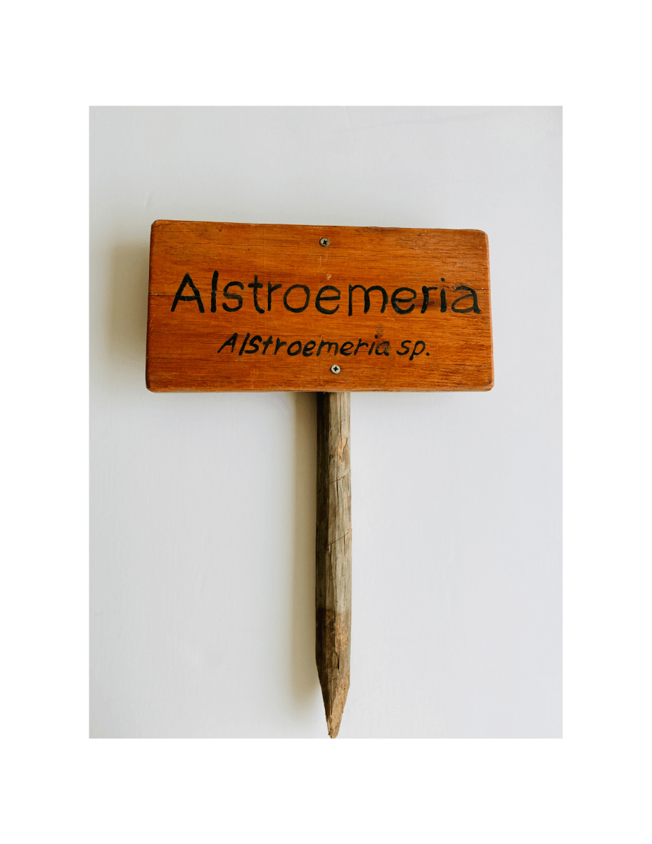 Letrero de Madera con estaca1