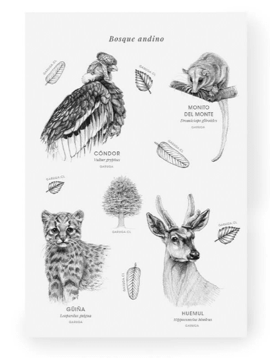 Stickers Fauna de Chile4