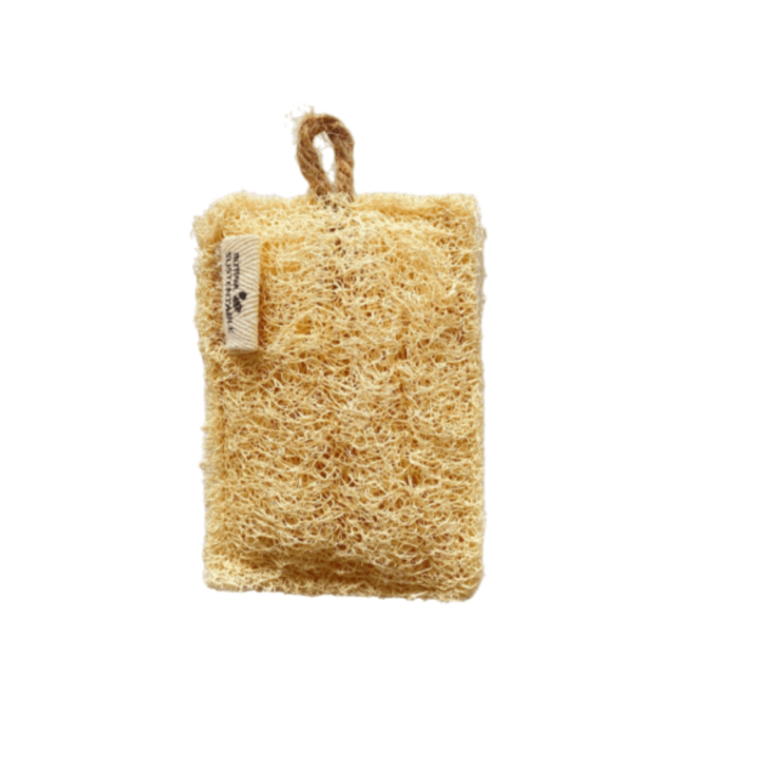 Esponja lavaloza de lufa1