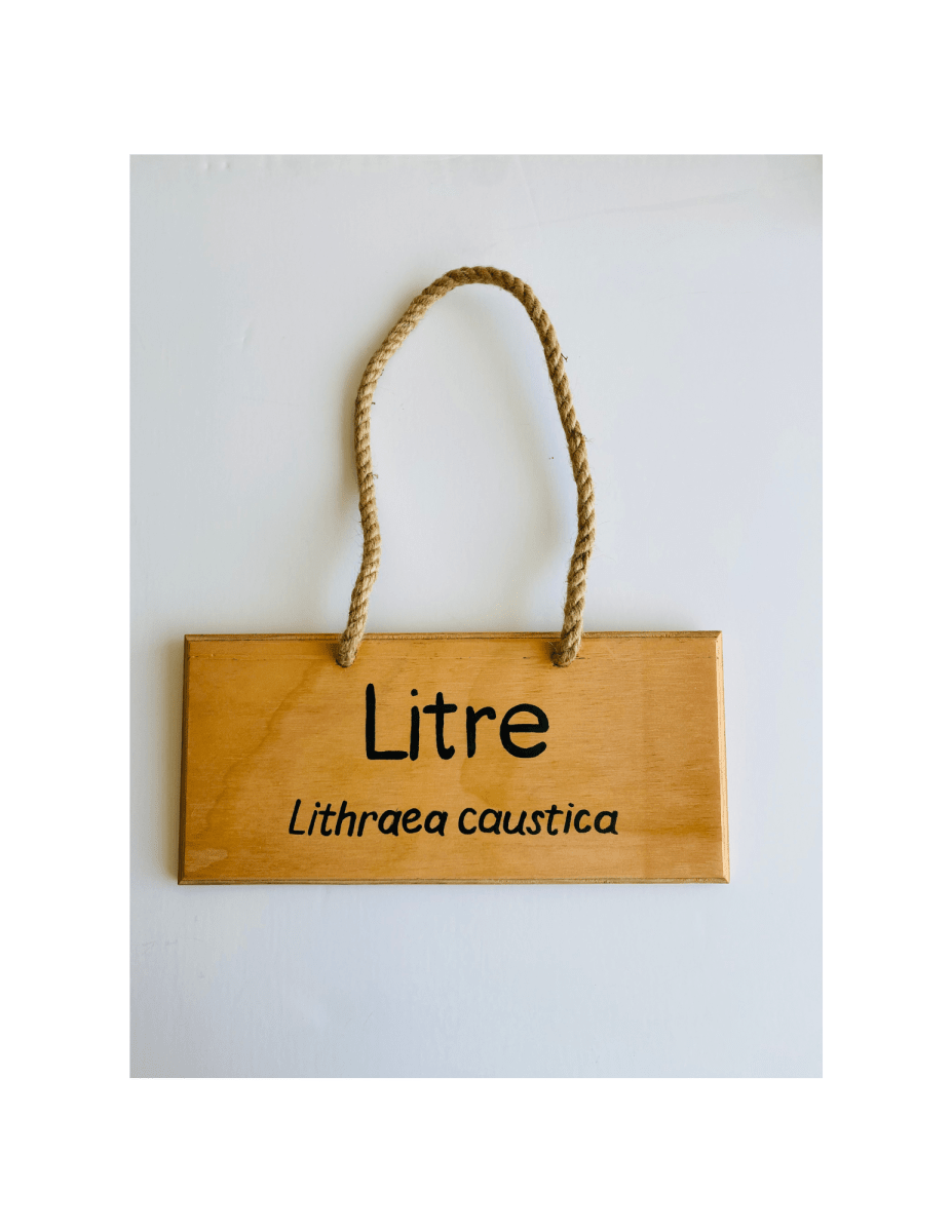 Letrero  de Madera1
