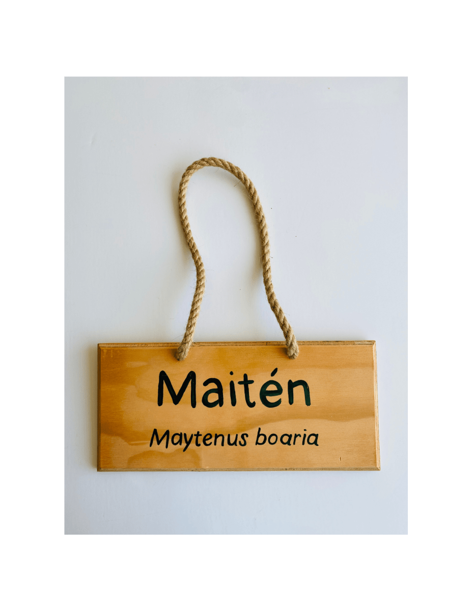 Letrero  de Madera4