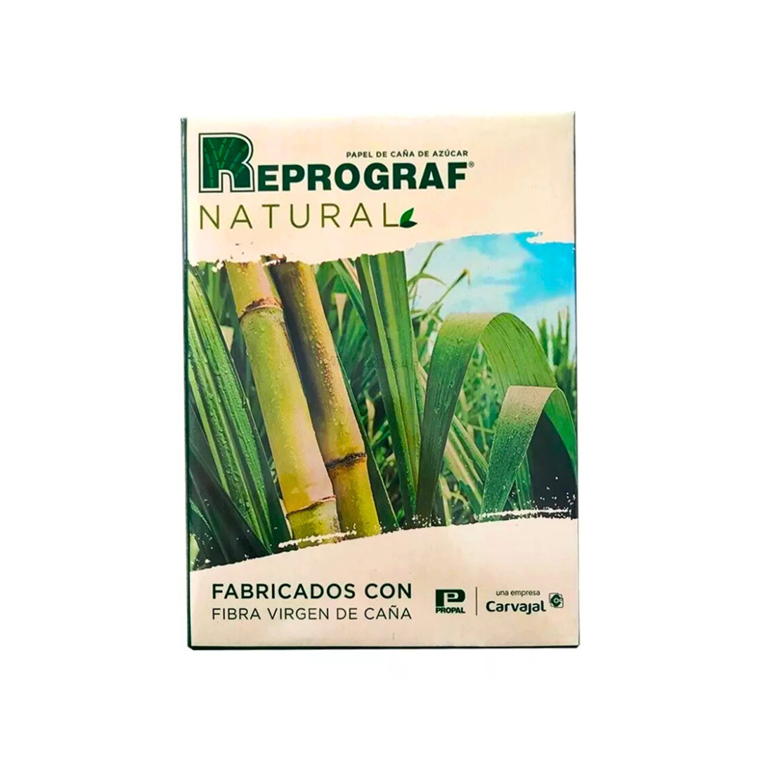 Resma de papel de caña de azúcar1