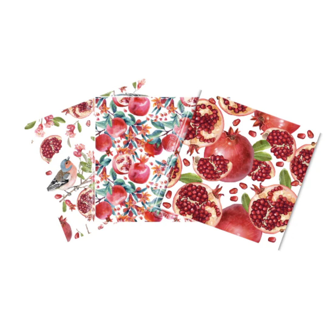 Paño Esponja Compostable (Pack 3)5