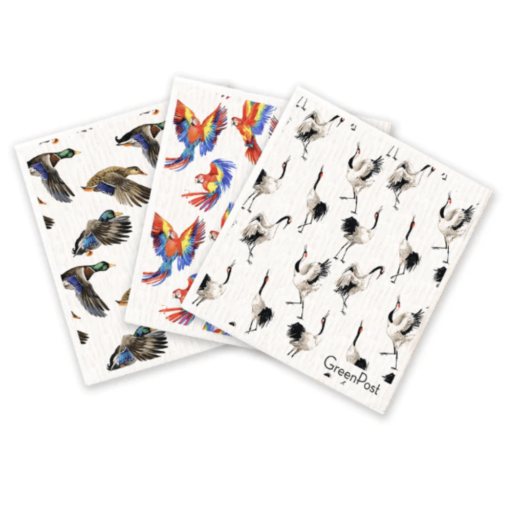 Paño Esponja Compostable (Pack 3)8