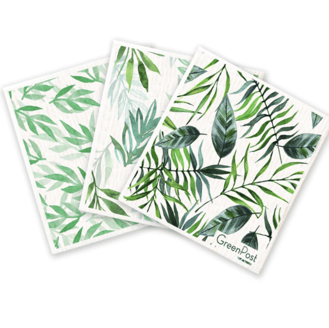 Paño Esponja Compostable (Pack 3)6