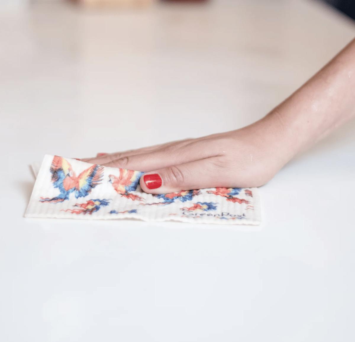 Paño Esponja Compostable (Pack 3)1