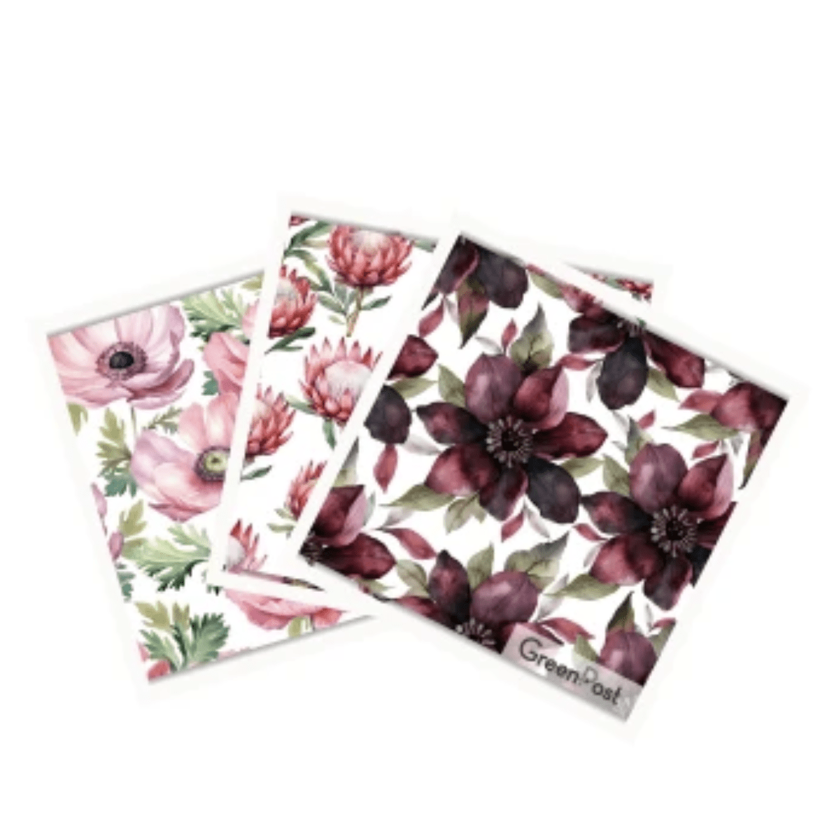 Paño Esponja Compostable (Pack 3)10