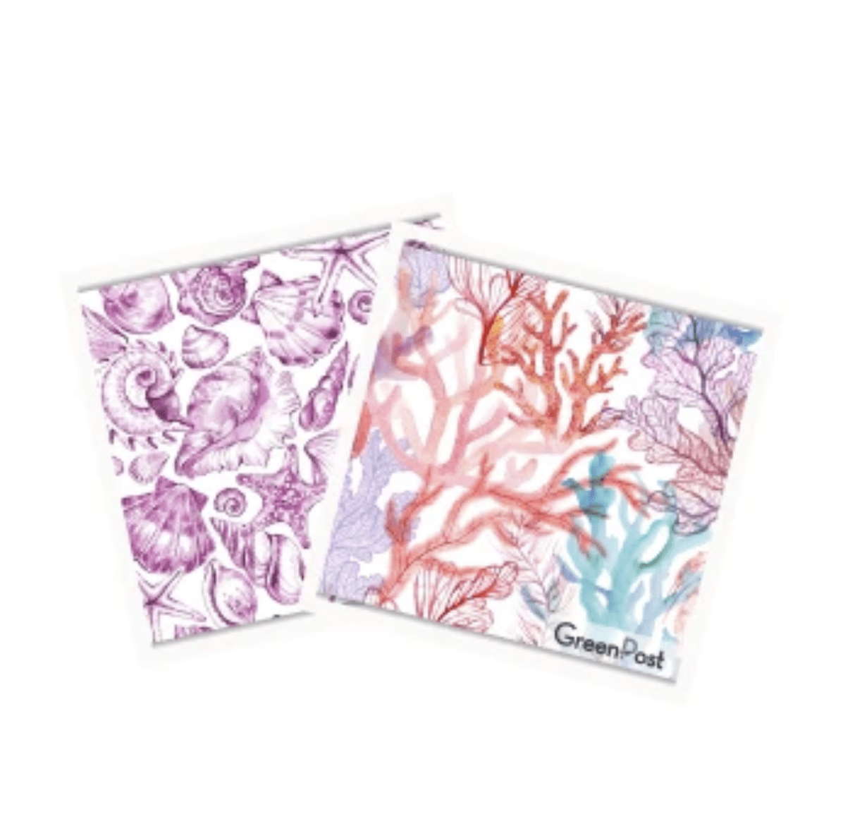 Paño Esponja Compostable (Pack 2)4