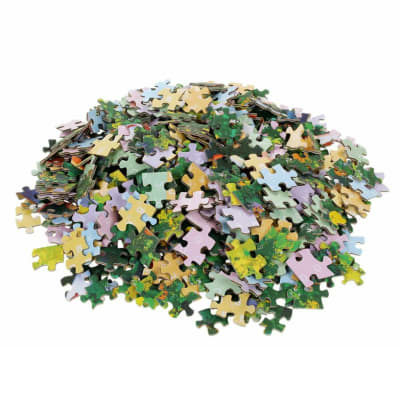 Rompecabezas Niña, Jardín Flores Y Gansos 500 pcs