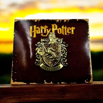 Hufflepuff Harry Potter Pin Prendedor