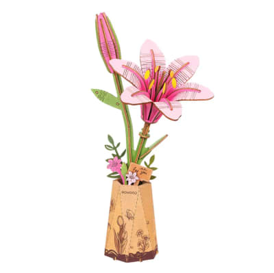 Flor Pink Lily Lilium Rolife
