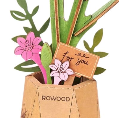 Flor Pink Lily Lilium Rolife