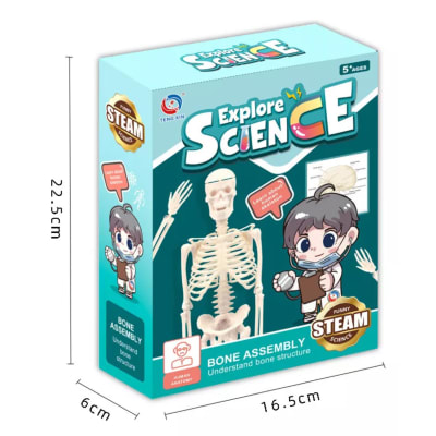 Explore Science Esqueleto