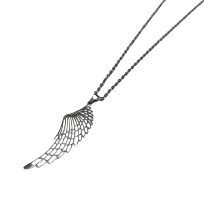 Collar acero - Ala de luz1