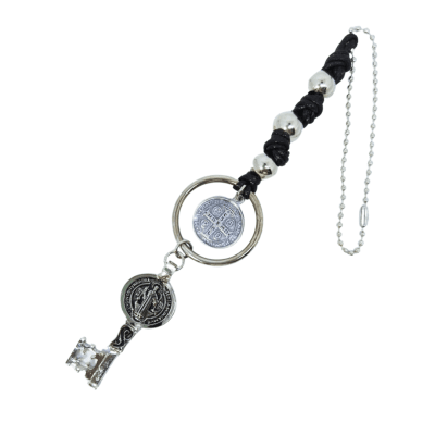 Protector de auto San Benito1