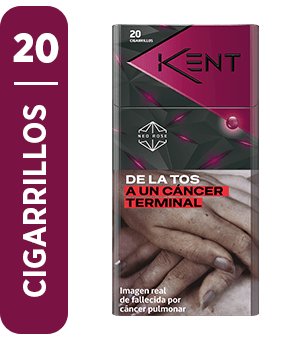 Cig Kent neo rose 201