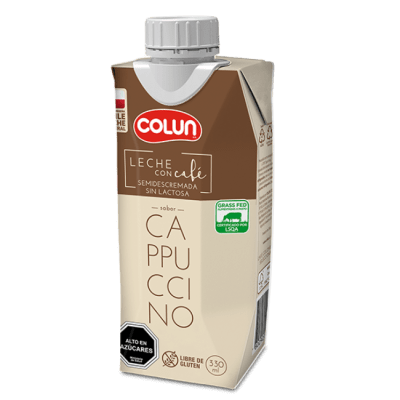 Leche capuccino 330 cc Colun1