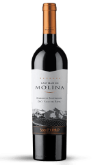 Castillo Molina cab sauv 750 cc bpy