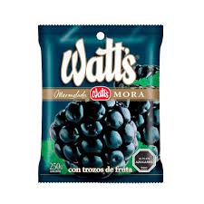 Mermelada Watts 250 gr mora mpy