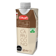 Leche capuccino 330 cc Colun