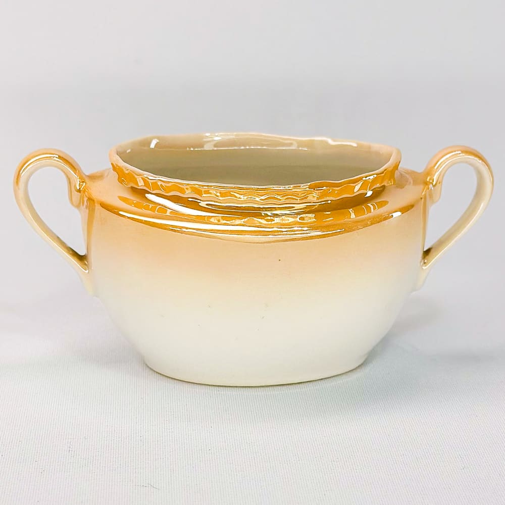 Terronero Victoria - 8cm2