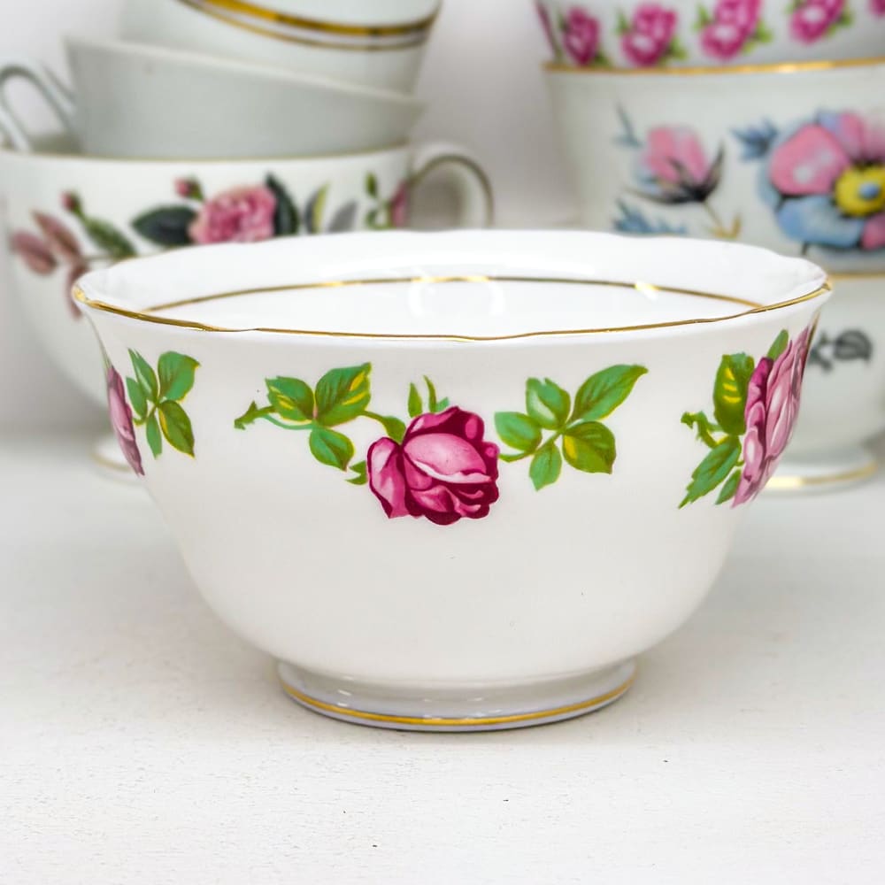 Terronero inglés - 11cm1