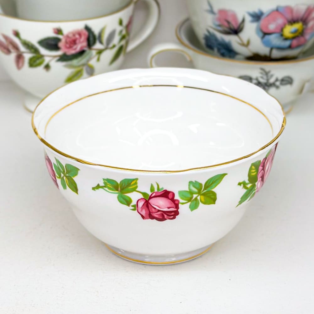 Terronero inglés - 11cm2