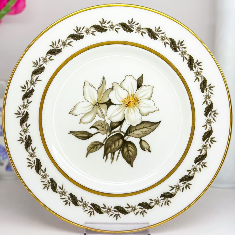 Plato de ensalada inglés - 20cm 2