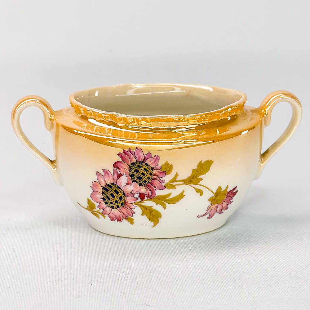 Terronero Victoria - 8cm3