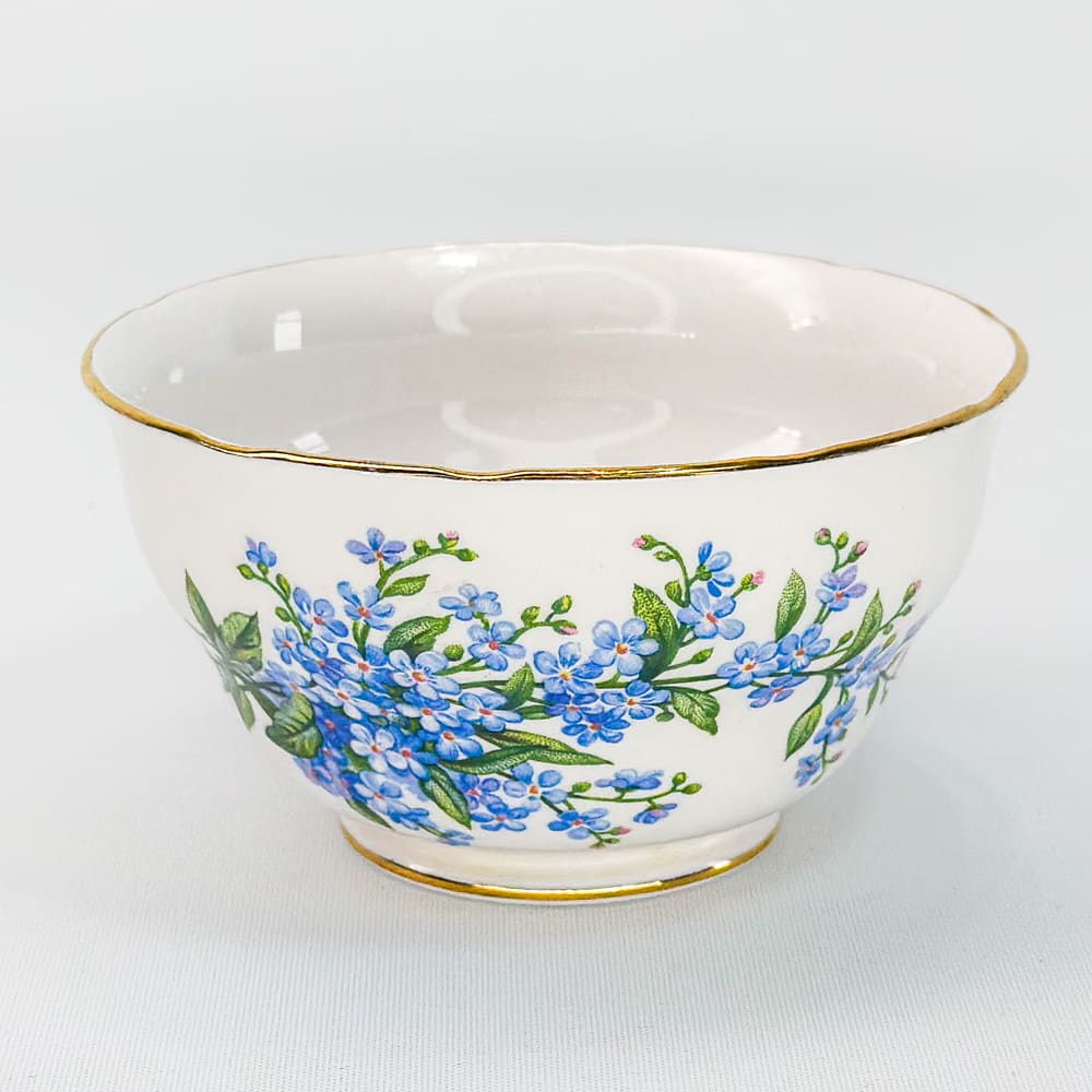 Terronero Royal Osborne - 11cm1