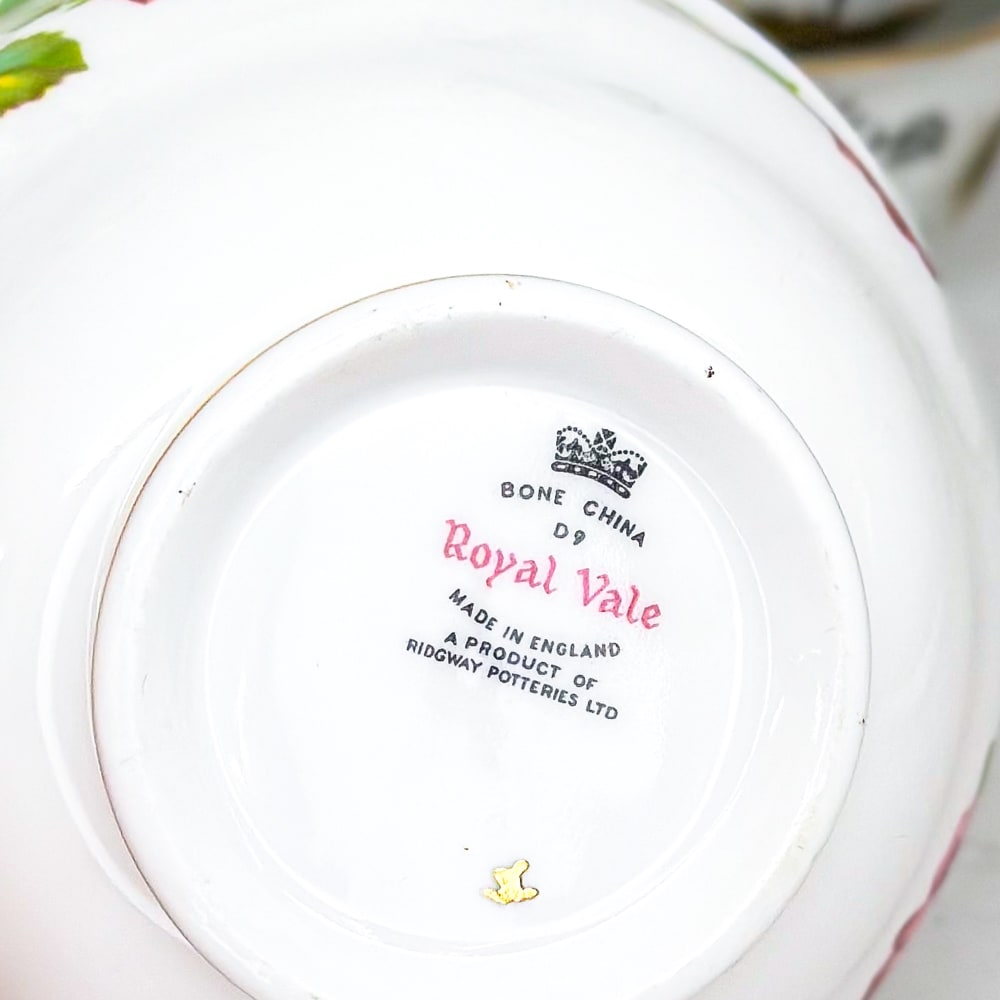 Terronero inglés - 11cm5