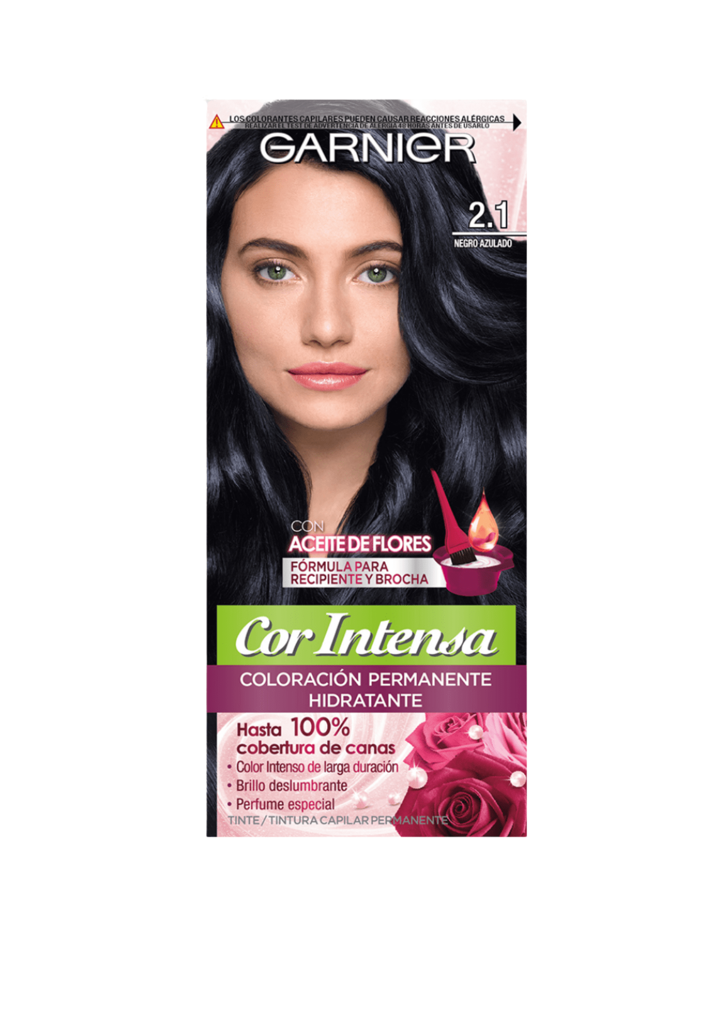 GARNIER COR 2.1 NEGRO AZULADO DET.