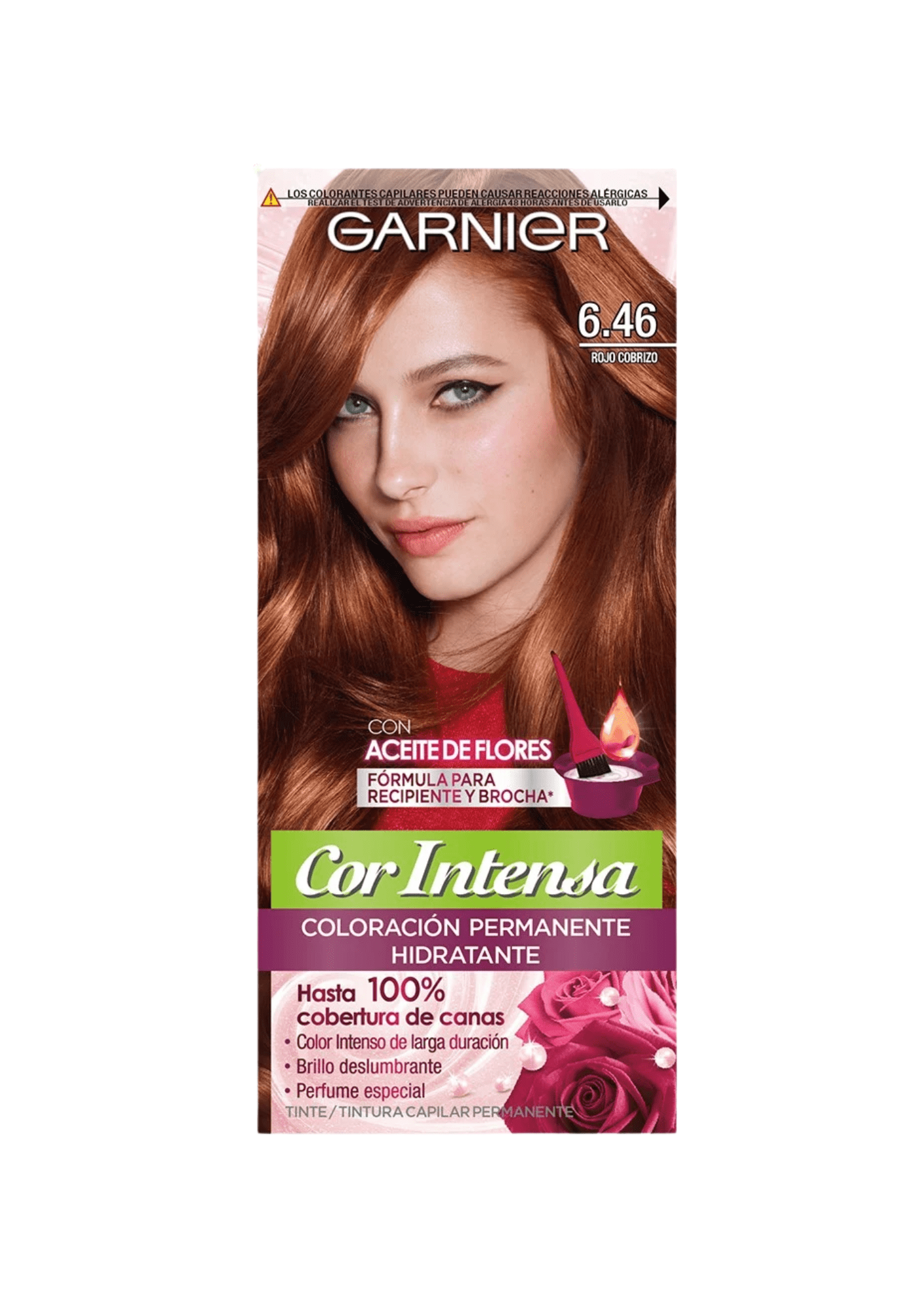 GARNIER COR INTENSA 6.46 ROJO COBRIZO DET.
