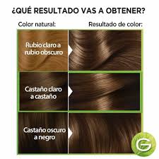 GARNIER NUTRISSE TINTE NUEZ 53 DET.4