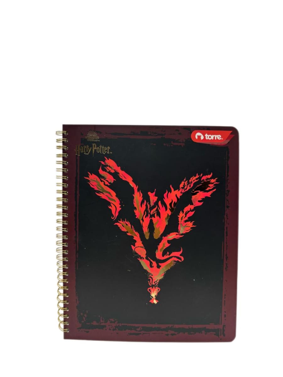 CUAD.CLASICO HARRY P. 7M 100H TORRE3