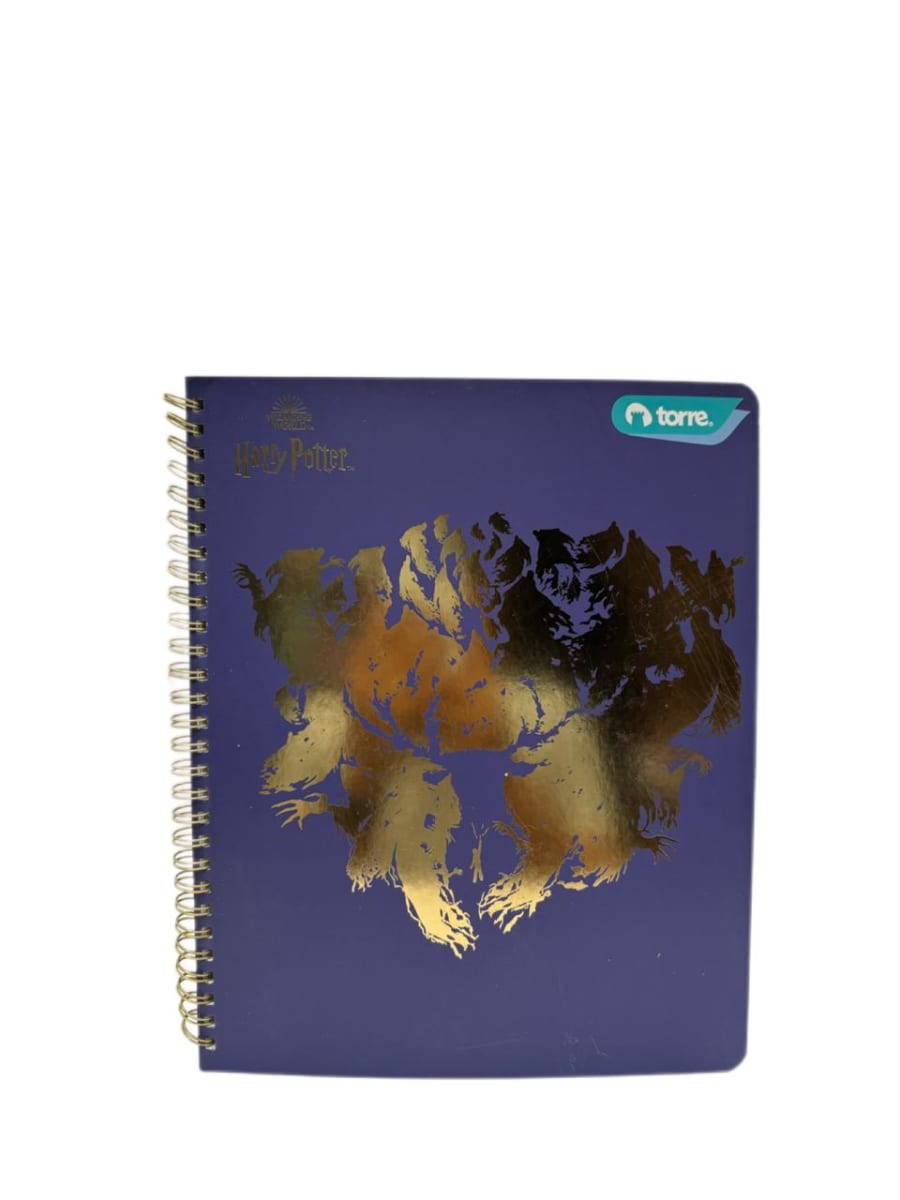 CUAD.CLASICO HARRY P. 7M 100H TORRE7