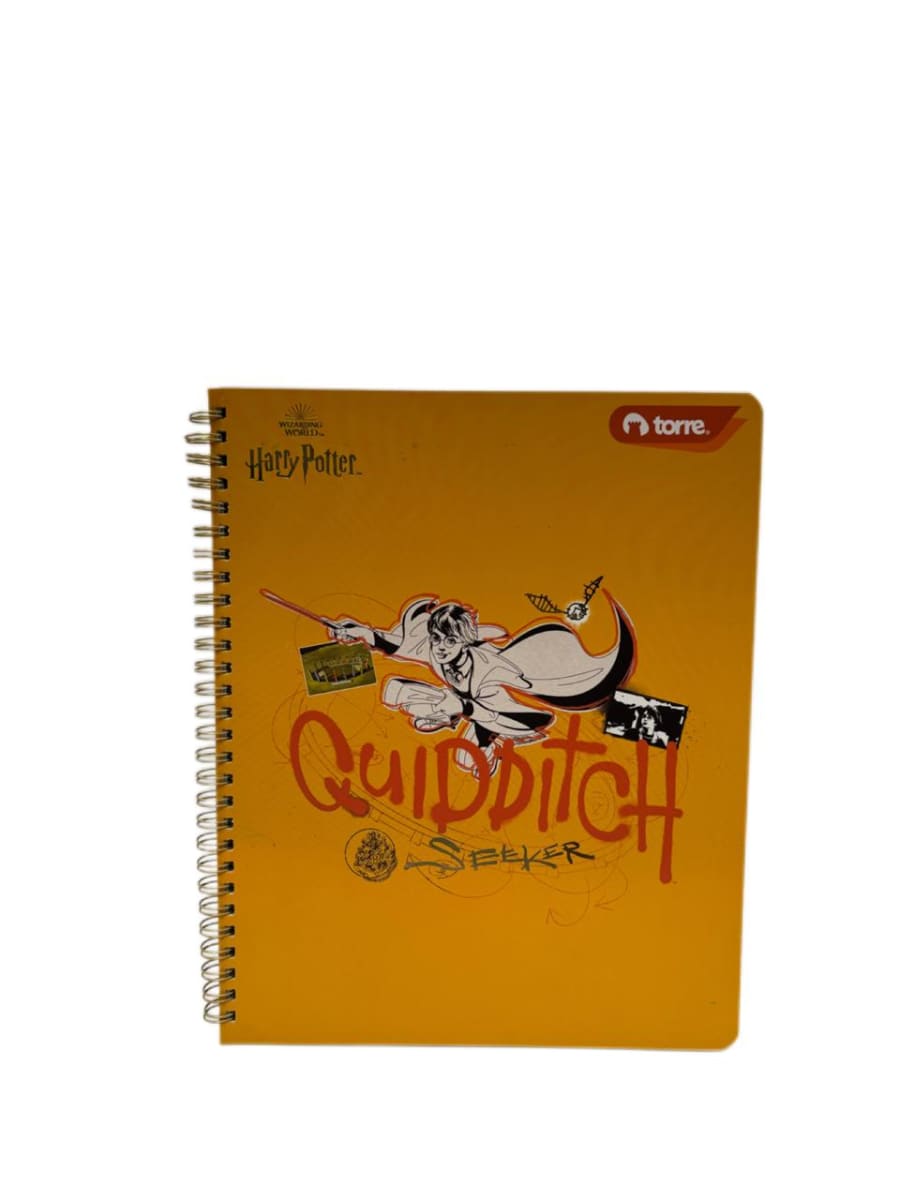 CUAD.CLASICO HARRY P. 7M 100H TORRE8