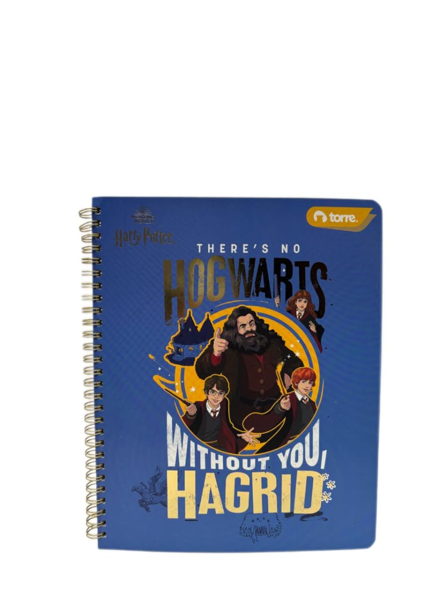 CUAD.CLASICO HARRY P. 7M 100H TORRE9