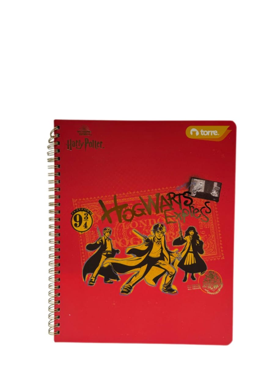 CUAD.CLASICO HARRY P. 7M 100H TORRE 9