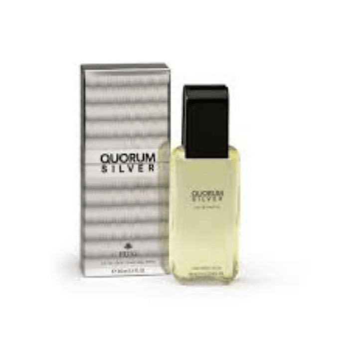 QUORUM SILVER EDT SPRAY 100 ML DET.2