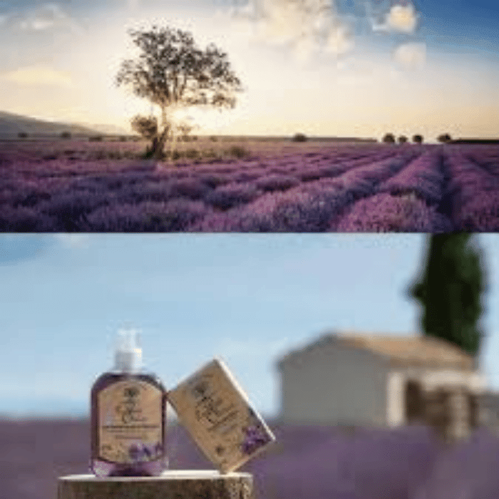LE PETIT OLIVIER  JABÓN LIQUIDO DE MARSELLA  LAVANDA 300 ML2