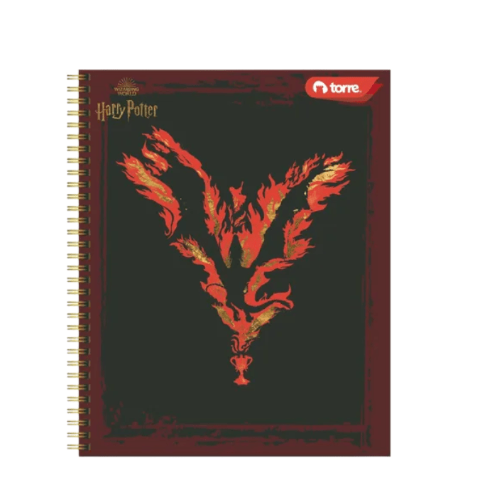 TORRE HARRY POTTER VARIEDAD DE CUADERNOS CLASICOS 100HOJAS8