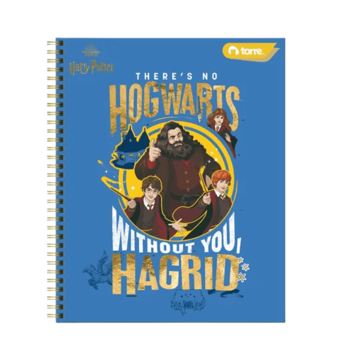 TORRE HARRY POTTER VARIEDAD DE CUADERNOS CLASICOS 100HOJAS3