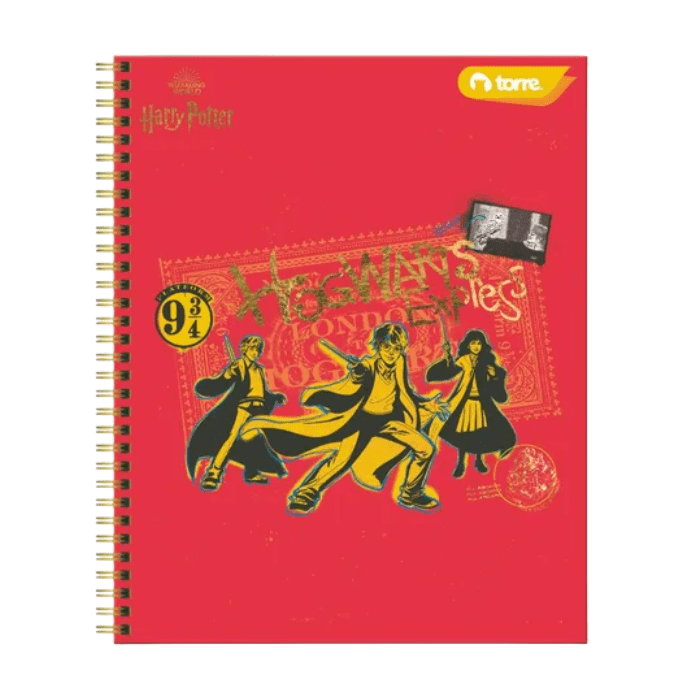 TORRE HARRY POTTER VARIEDAD DE CUADERNOS CLASICOS 100HOJAS4