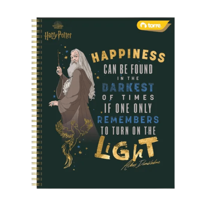 TORRE HARRY POTTER VARIEDAD DE CUADERNOS CLASICOS 100HOJAS2