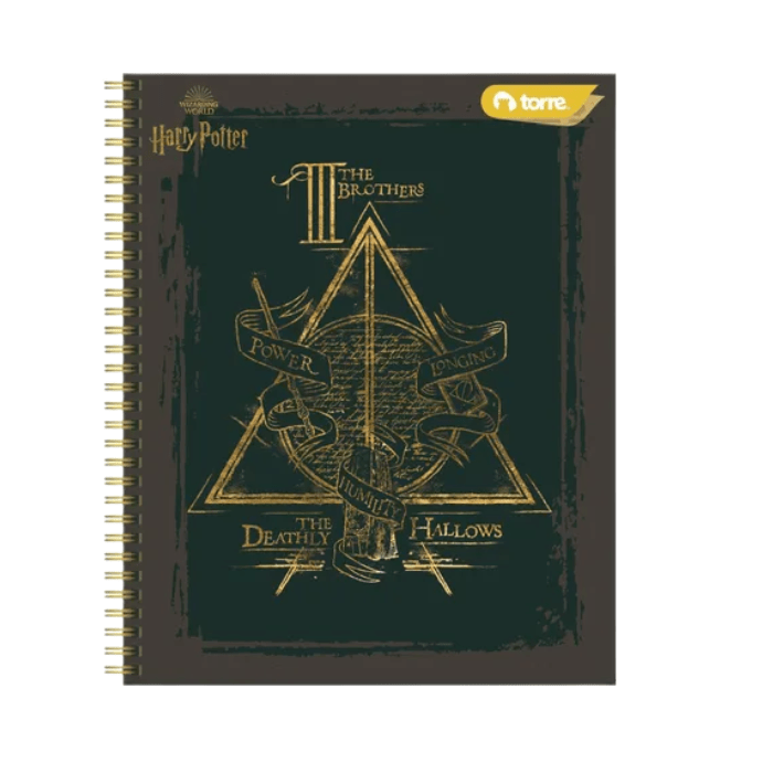 TORRE HARRY POTTER VARIEDAD DE CUADERNOS CLASICOS 100HOJAS6