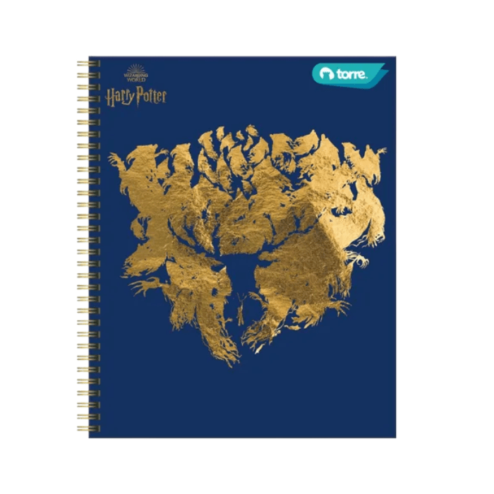 TORRE HARRY POTTER VARIEDAD DE CUADERNOS CLASICOS 100HOJAS7