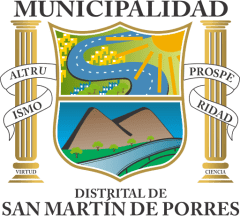 /sanmartindeporres3163