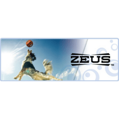 Zeus