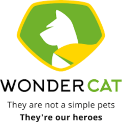 Wonder cat